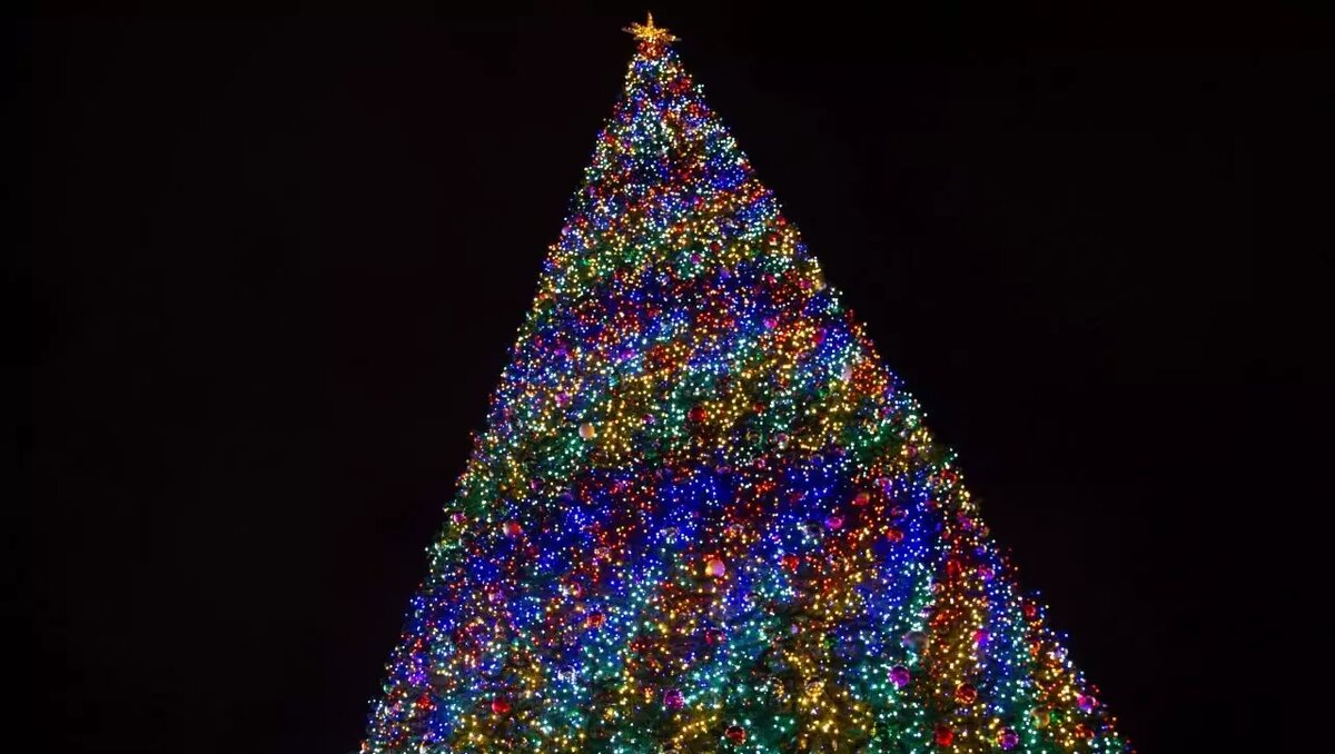     Автор: Администрация Ставрополя