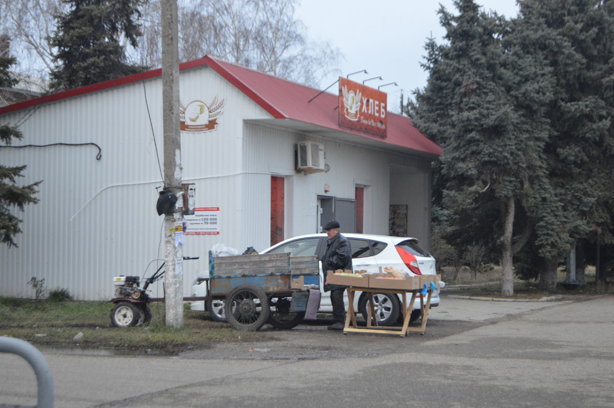 Фото автора. 26.12.2024. Станица.