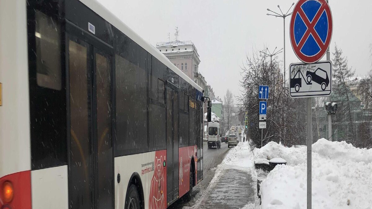    © Павел Шатров