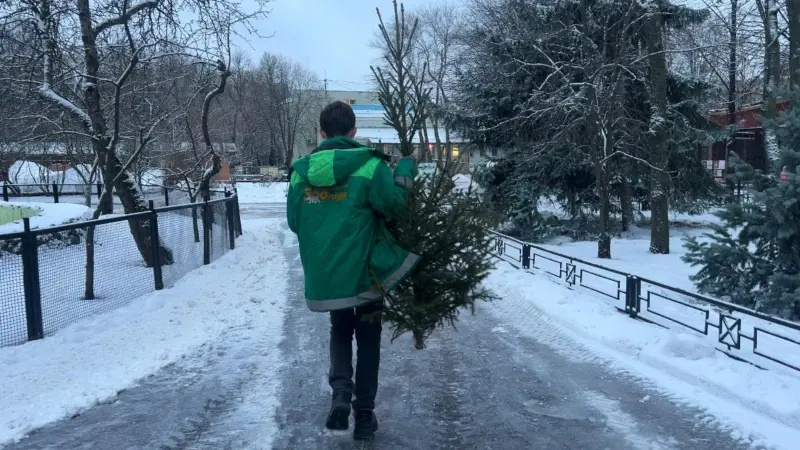    пресс-служба ККИ