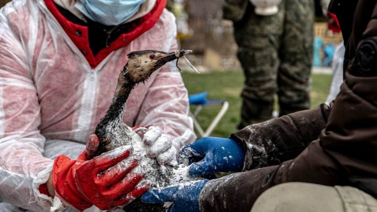 пресс-службы РМГ📷
