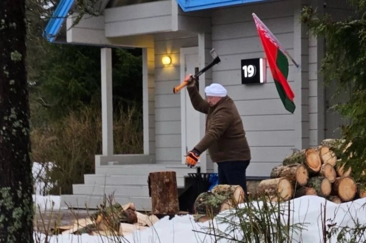    Лукашенко наколол дров перед важными переговорами в Санкт-Петербурге