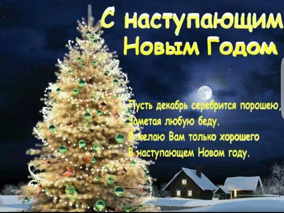 яндекс картинки