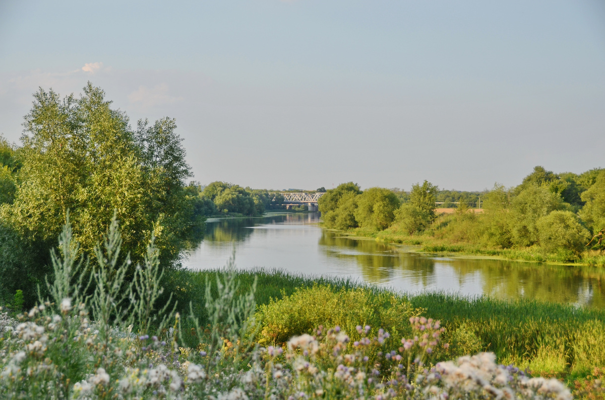 Река Красивая Меча