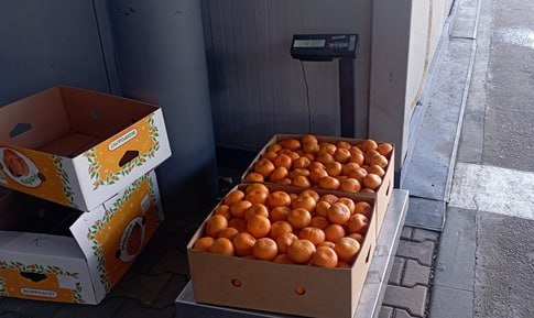    Фото: пресс-служба по г. Сочи Краснодарской таможни