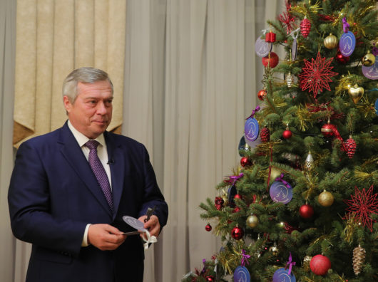    //фото: правительство Ростовской области