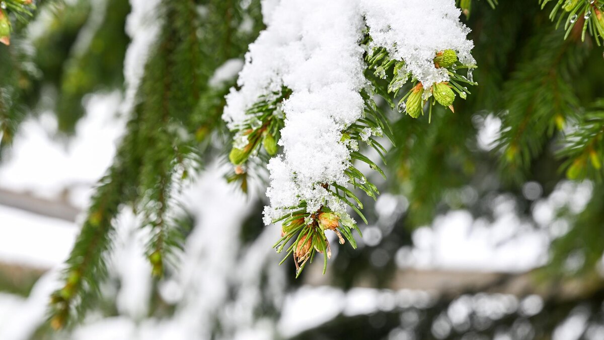    Фото: Marius Bulling/globallookpress.com