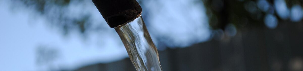    Фото: Сергей Егоров