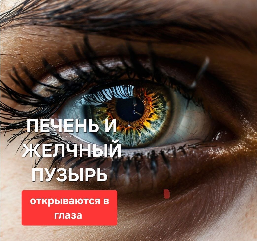 Китайские справочники говорят, что каждый орган имеет "выход наружу- открывается на теле"