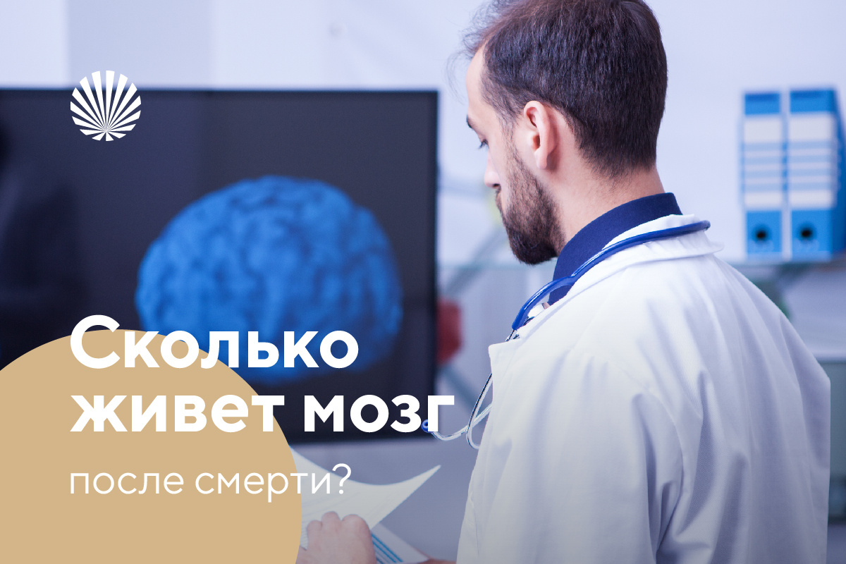 Похоронного бюро "Свет" https://burosvet.ru/krasnodar