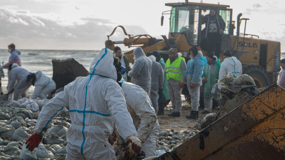    Фото: Екатерина Новикова