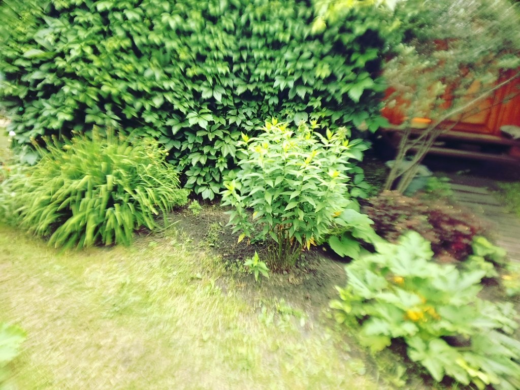 Налоговый вычет при приобретении участка супругами вправе получить любой из супругов. Фото из личного архива.