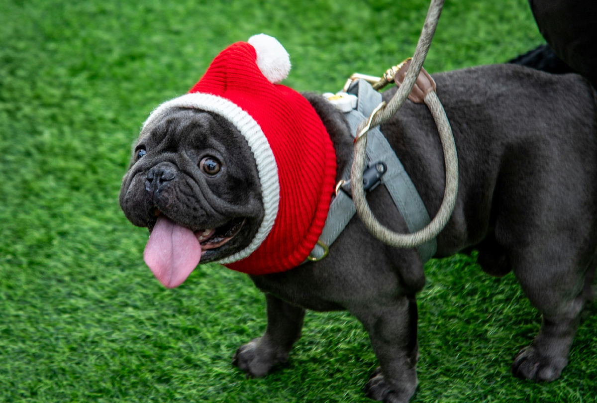 Картинка с бесплатного фотостока https://unsplash.com, автор Bernd 📷 Dittrich