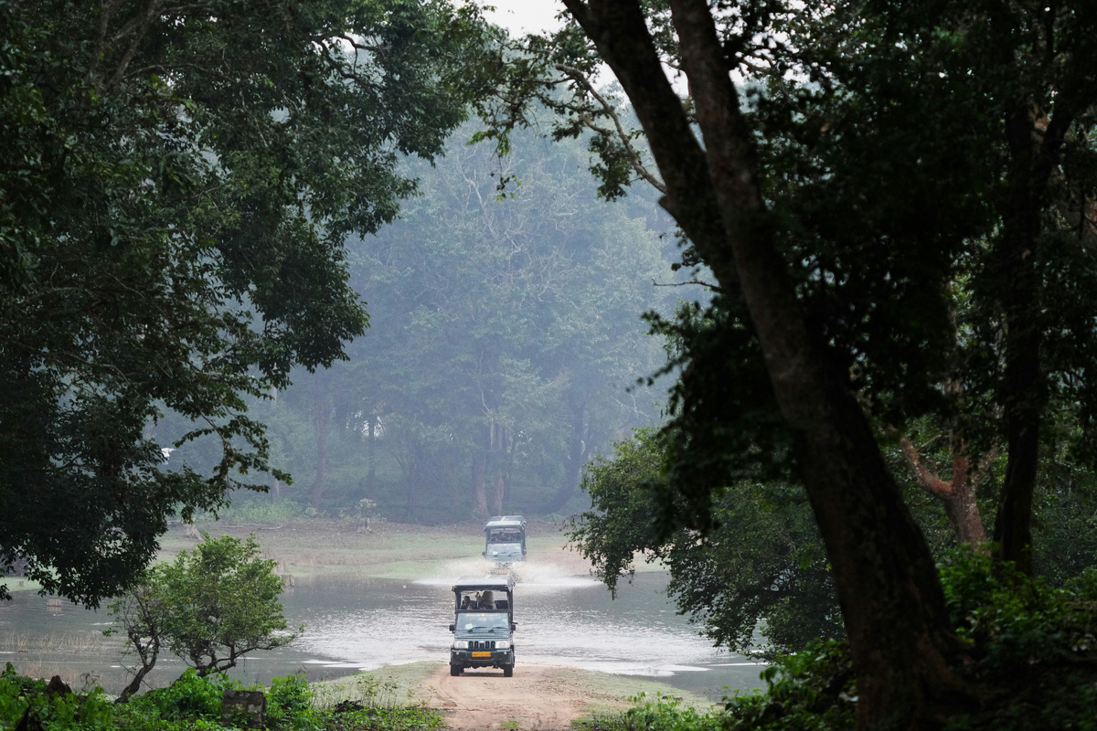 Картинка с бесплатного фотостока https://unsplash.com, автор A M