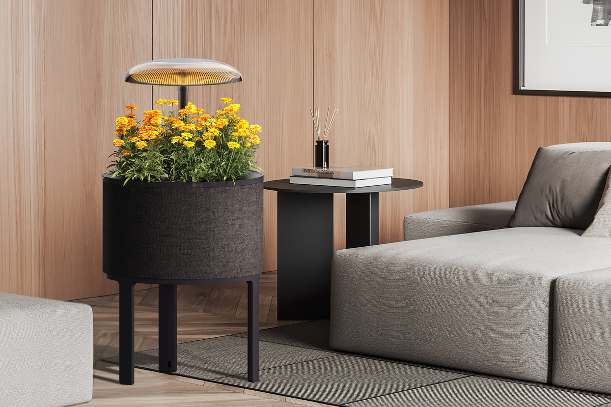 Источник: LG