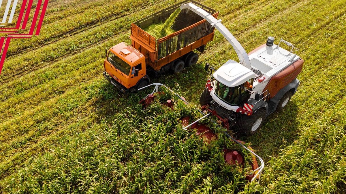    Изображение «Ростсельмаш» 