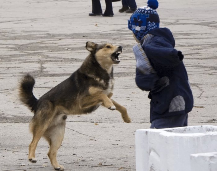 Фото progoroduhta.ru