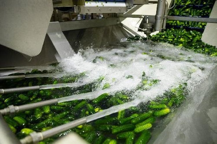    Инвестпроекты Волгоградской области на 2025 год: от семеноводства до переработки и зернохранилищ