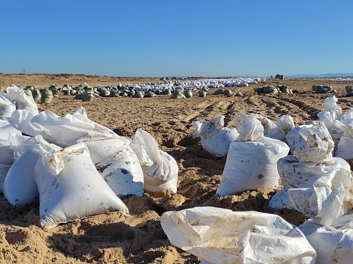     / Источник: © ИЗВЕСТИЯ/Иван Ковалев