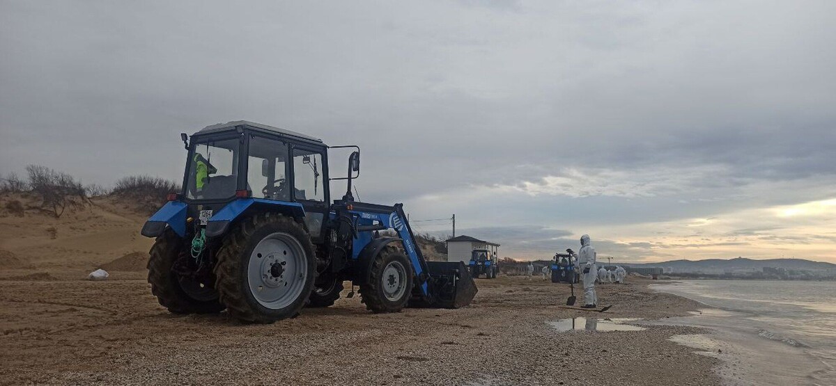     / Источник: © ИЗВЕСТИЯ