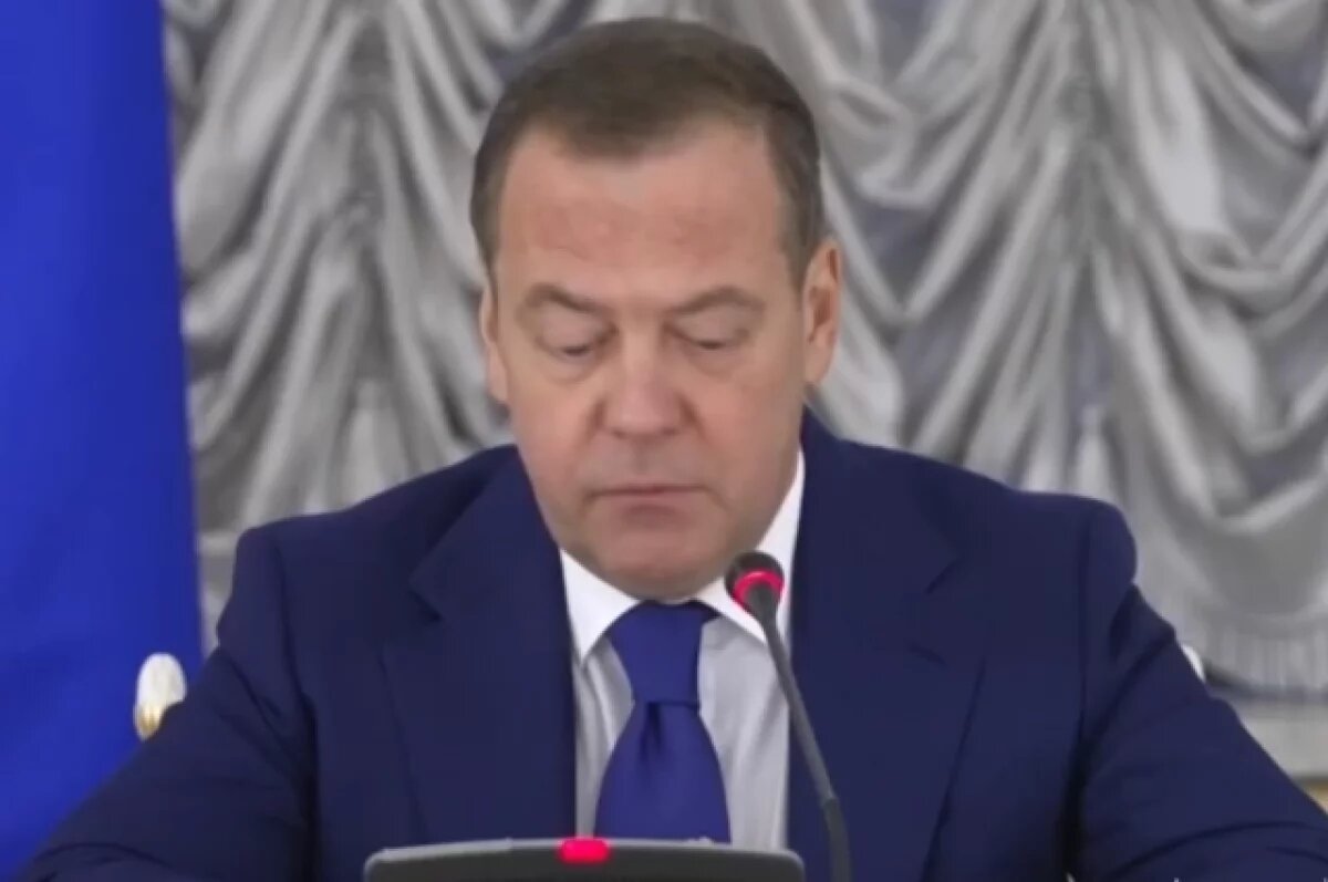    Медведев: этнические анклавы могут стать рассадниками экстремизма