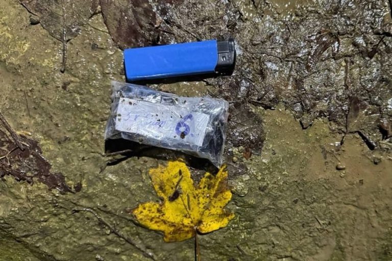 Фото и видео: t.me/police_sochi