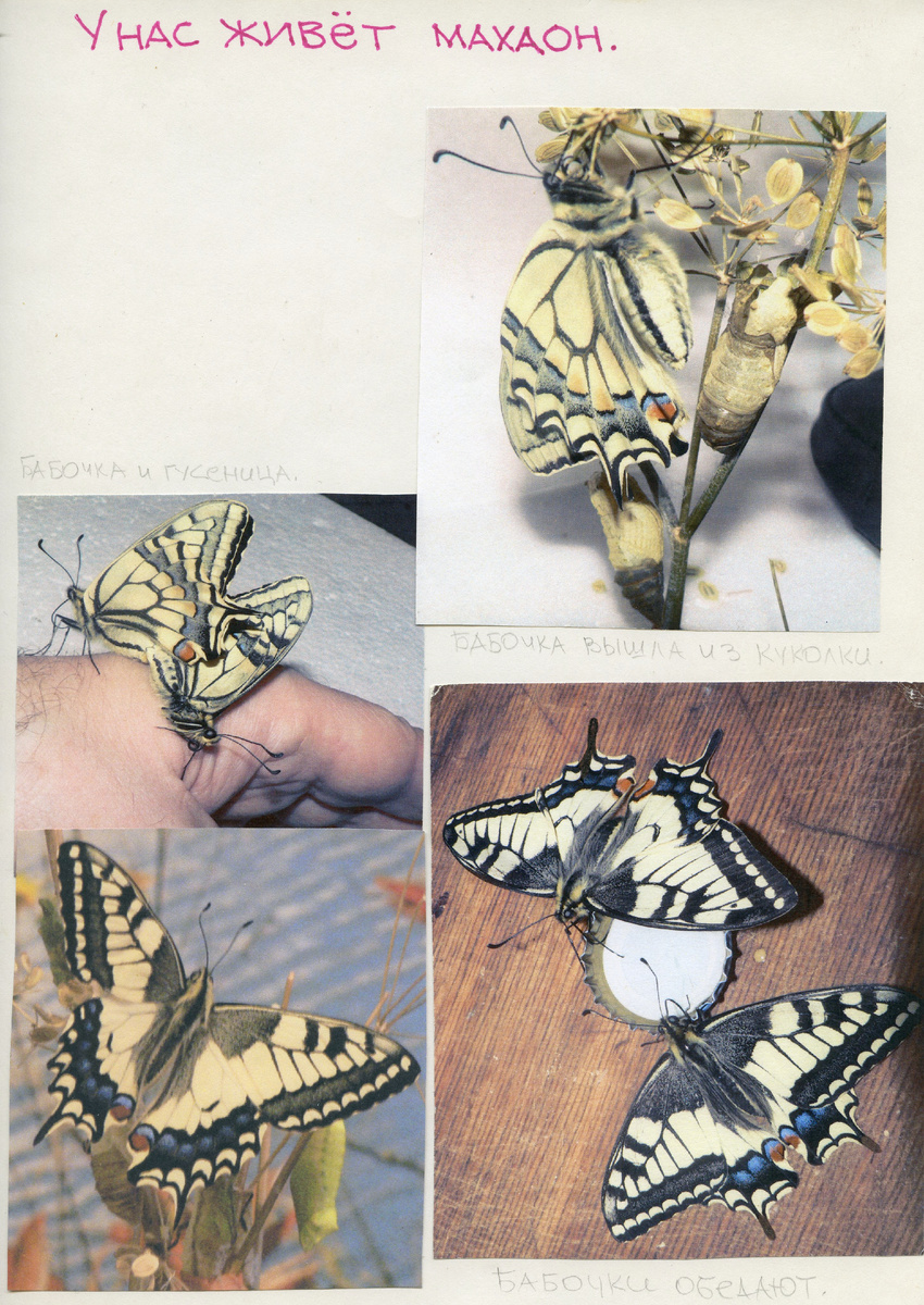 Из личного архива С.Г. Гордиенко