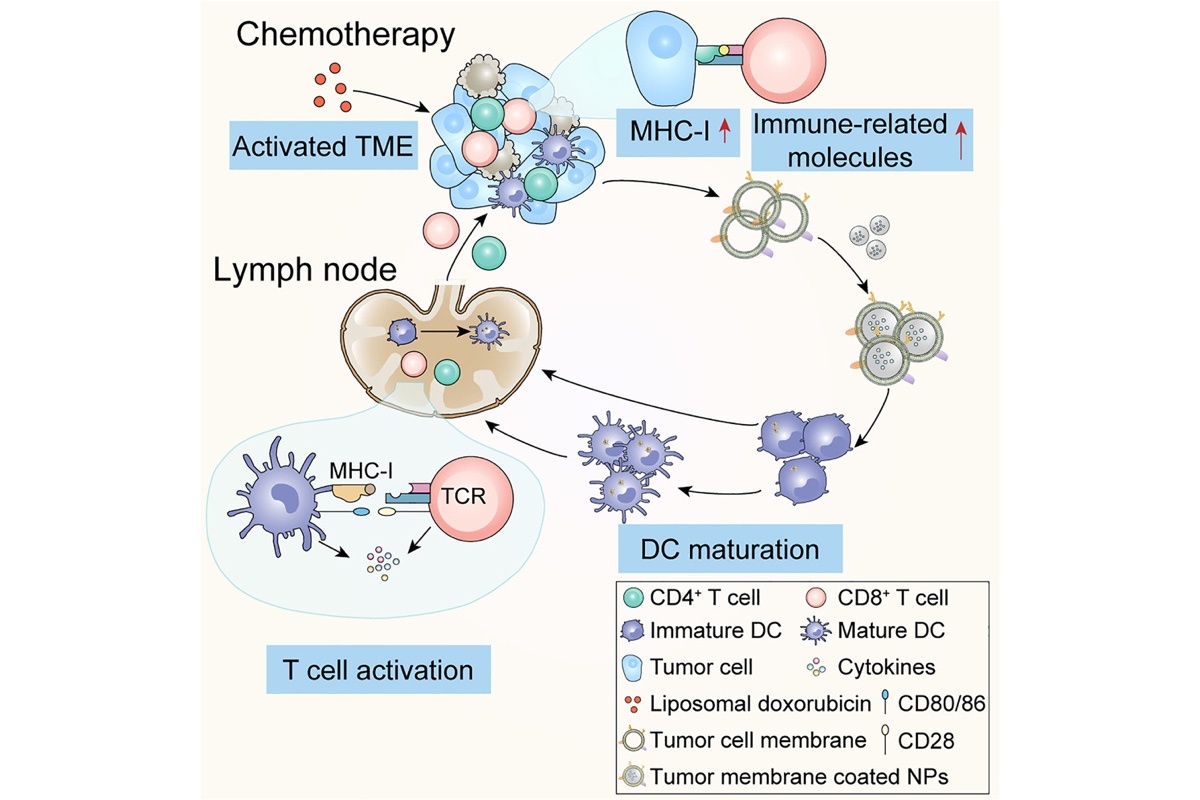    Yang Chen / Elsevier Inc.