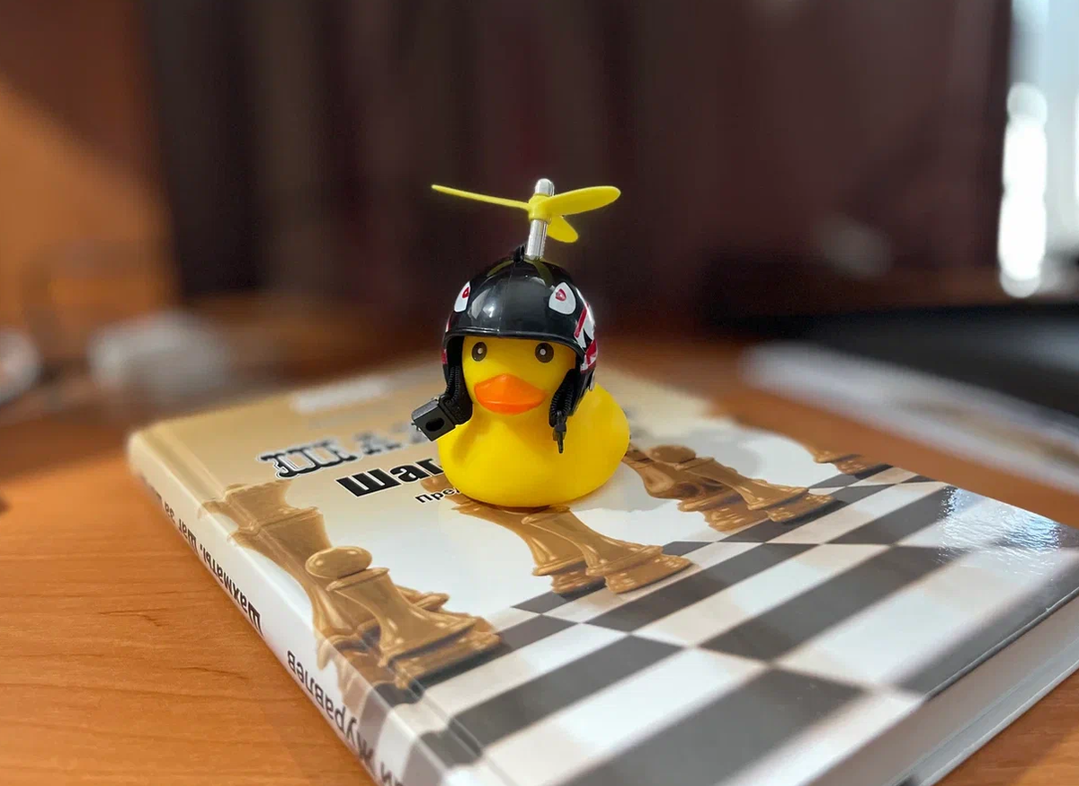 Знакомьтесь! Это утенок Утя, который был моим верным помощником в ведении профессионального блога!