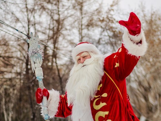    Фото: sergo1972 / Shutterstock / Fotodom