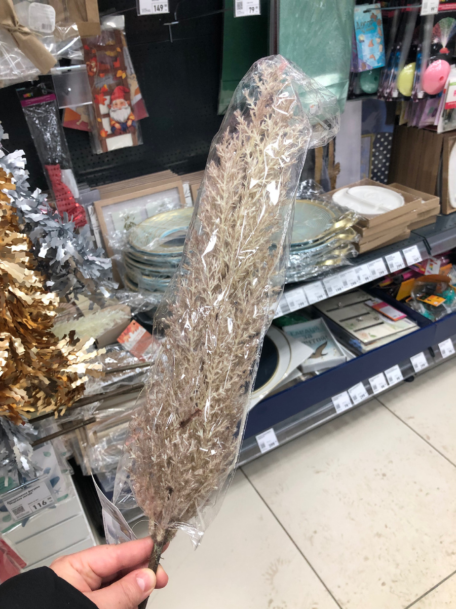Что будет с магазинами. Закрытие магазина. Ассортимент продуктового магазина. Ассортимент магазина. Супермаркет закрывается.