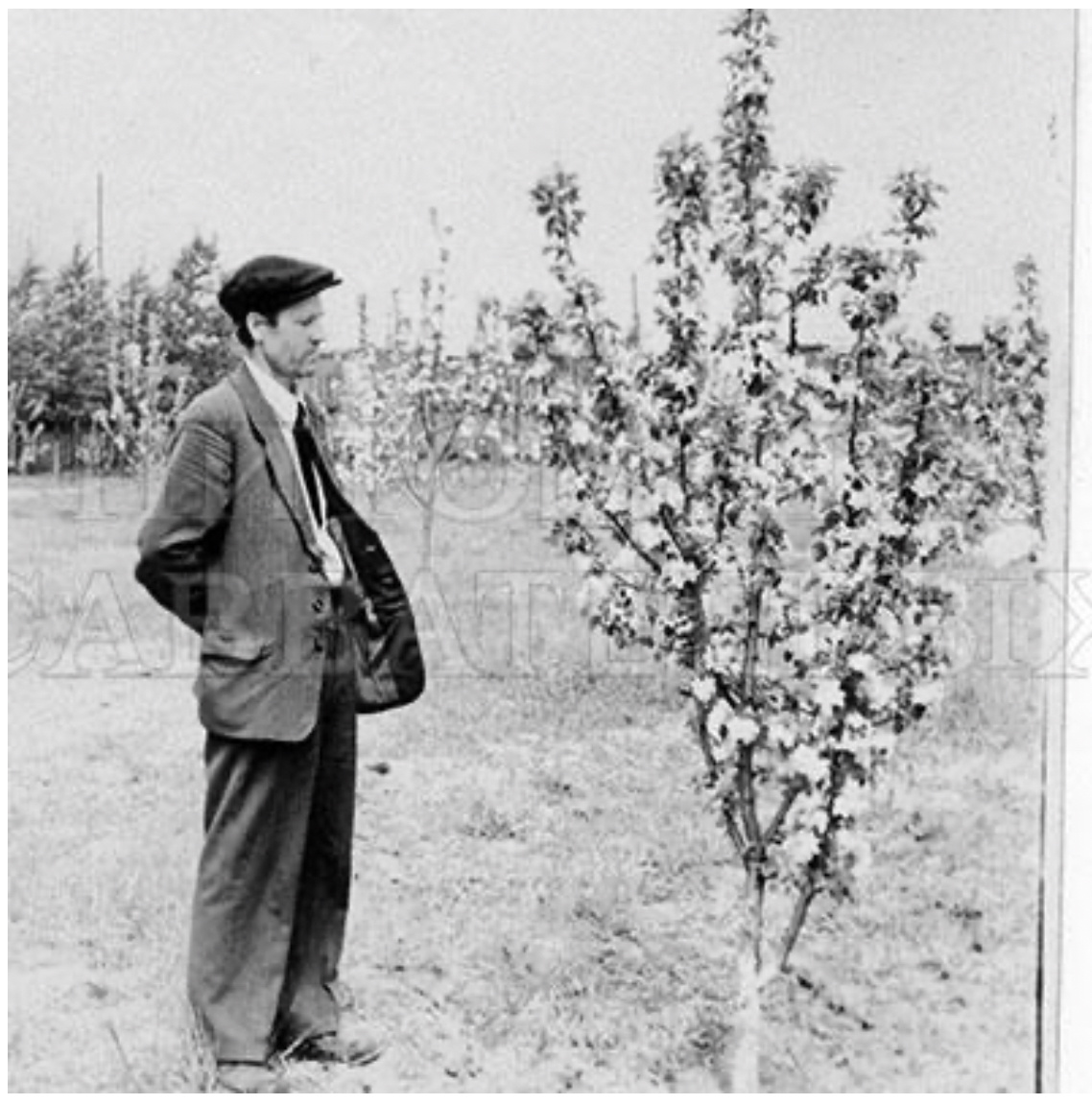 Леонид Иванович ВИГОРОВ
Леонид Иванович ВИГОРОВ (15.01.1913, Минусинск — 13.03.1976, Свердловск)