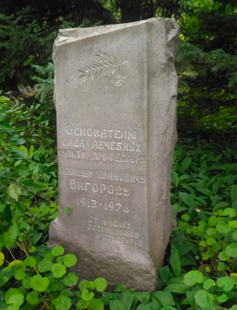 Сад лечебных культур