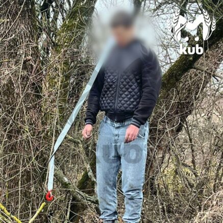    Фото: t.me/kub_mash