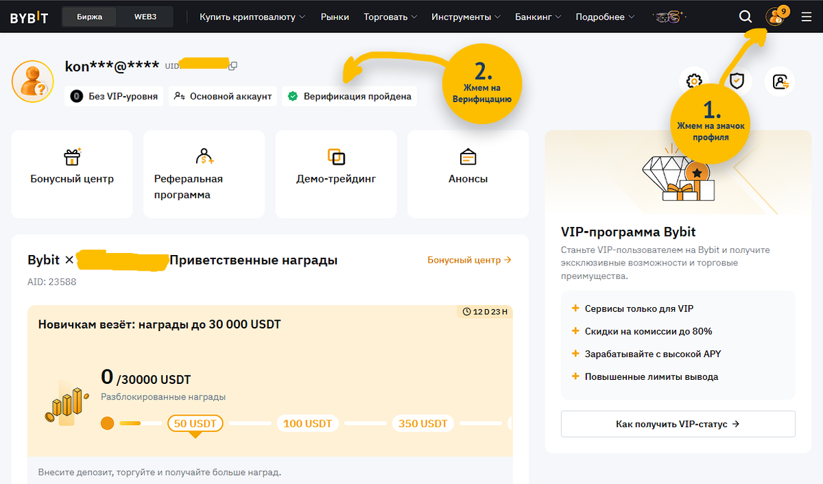 В Профиле находим пункт "Верификация"