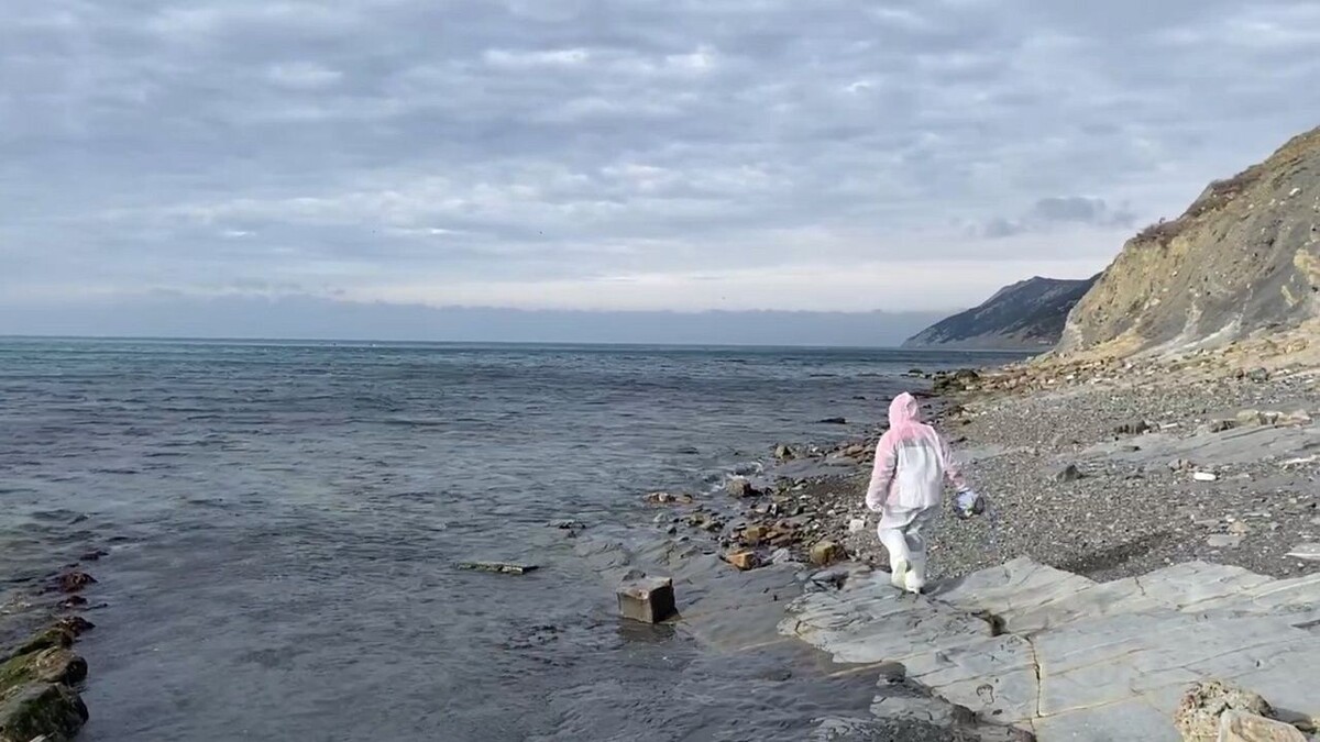    Фото: телеканал «Краснодар»