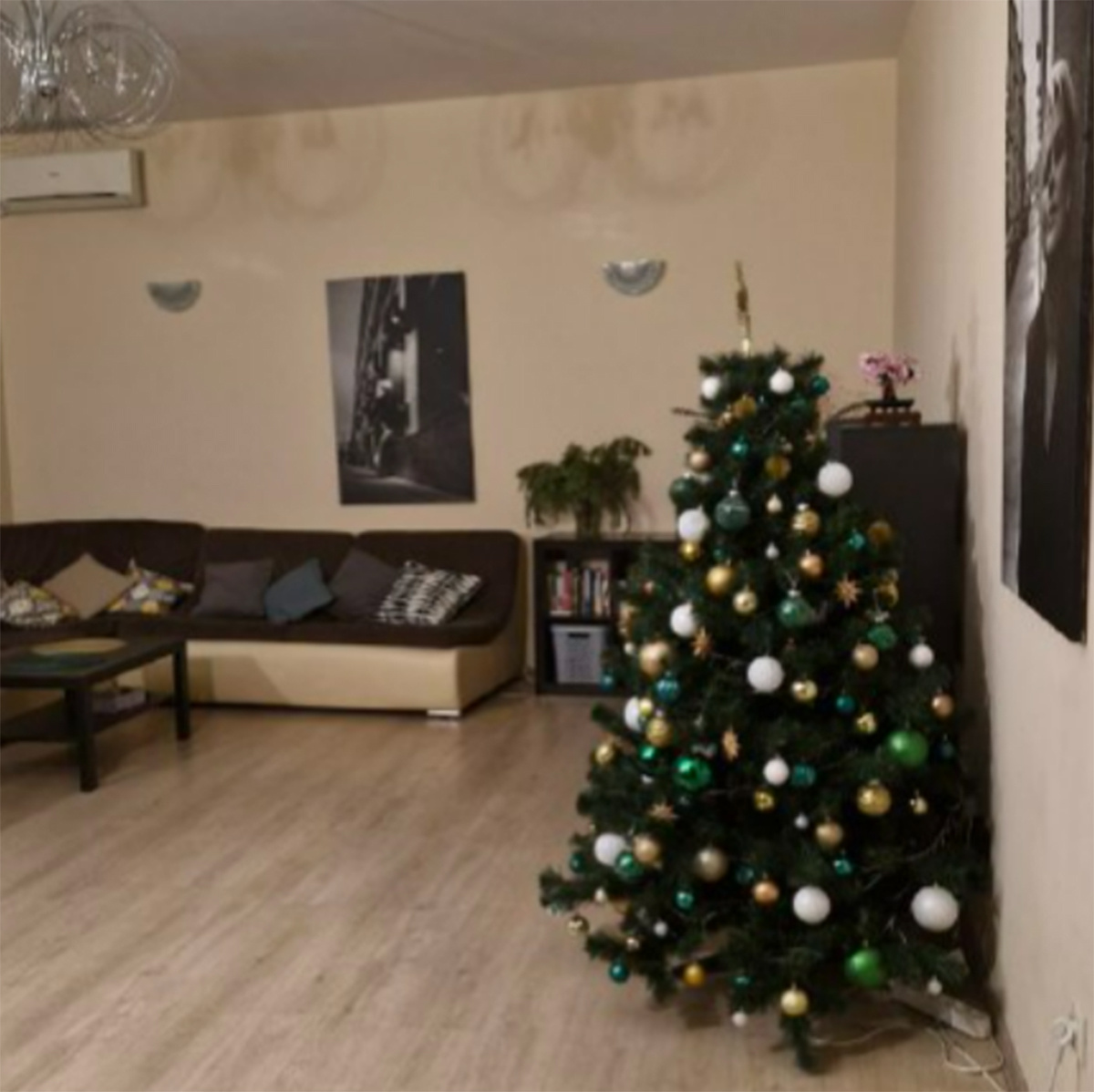Елка в квартире Сабины Пантус. Фото: соцсети Сабины Пантус
