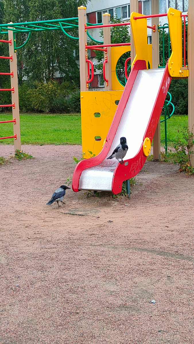 Фото автора. Осень 