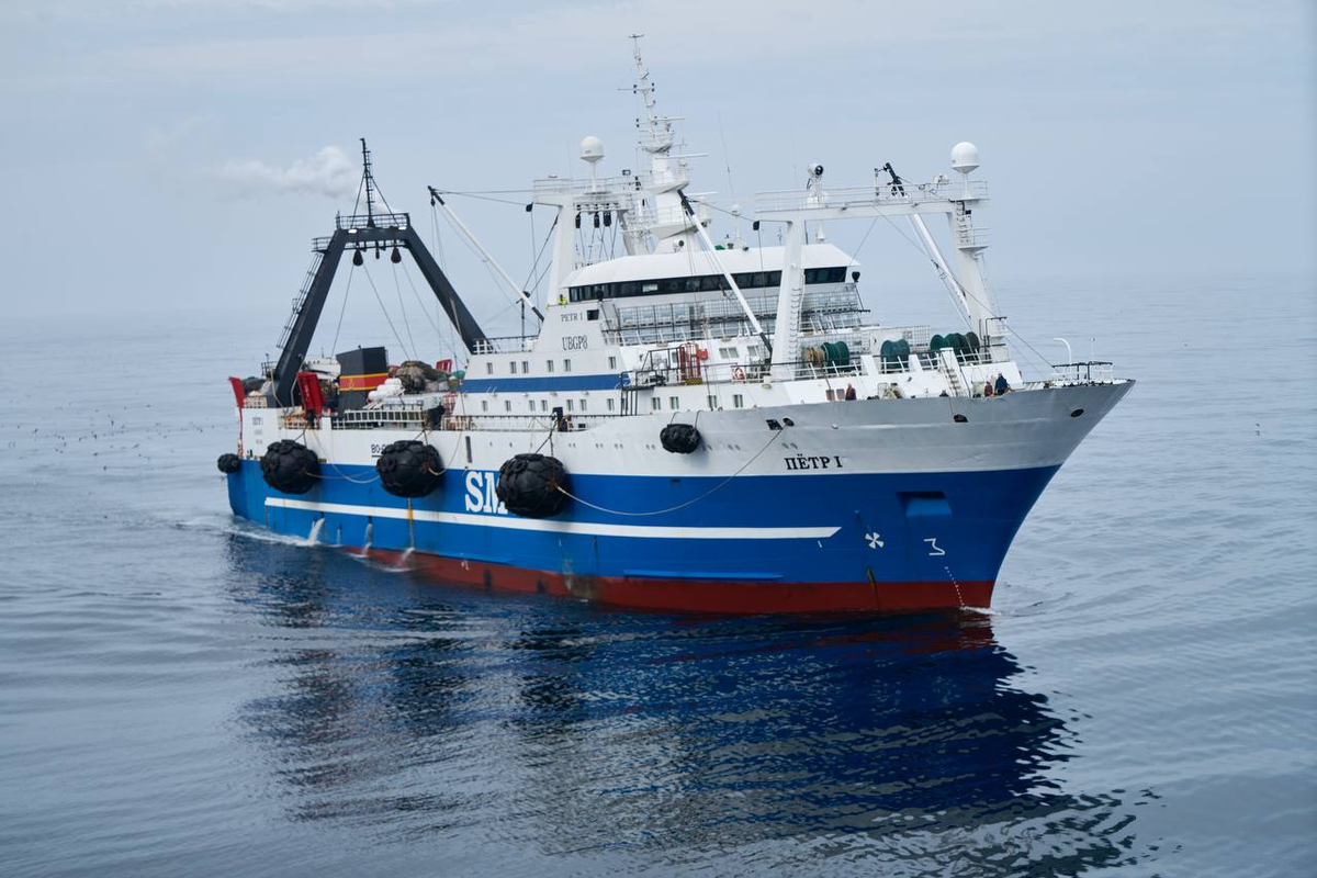 Фото из Telegram-канала ВАРПЭ