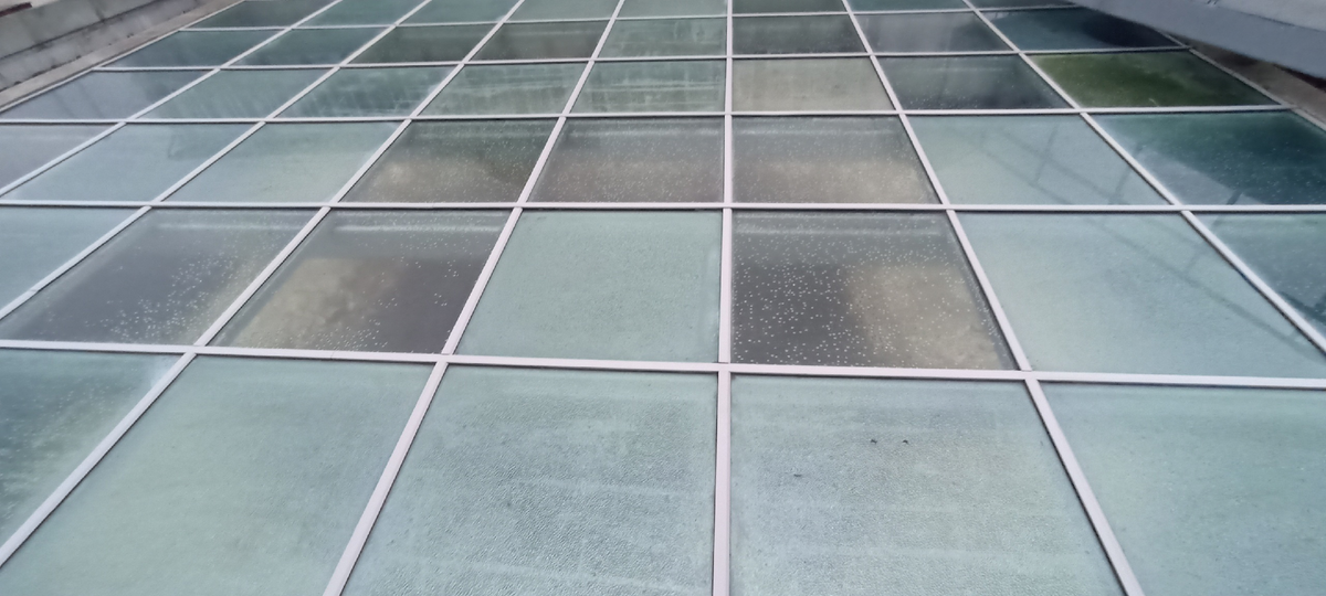 Рязань. Под стеклом фундамент храма. Фото автора