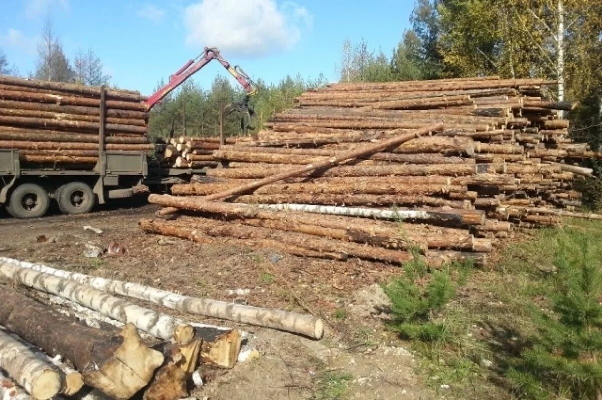    В Карелии суд обязал предпринимателя оформить карантинные сертификаты