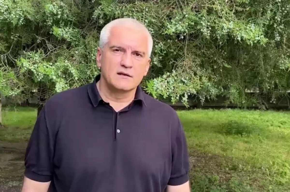    Аксенов отреагировал на заявление Зеленского о невозможности вернуть Крым