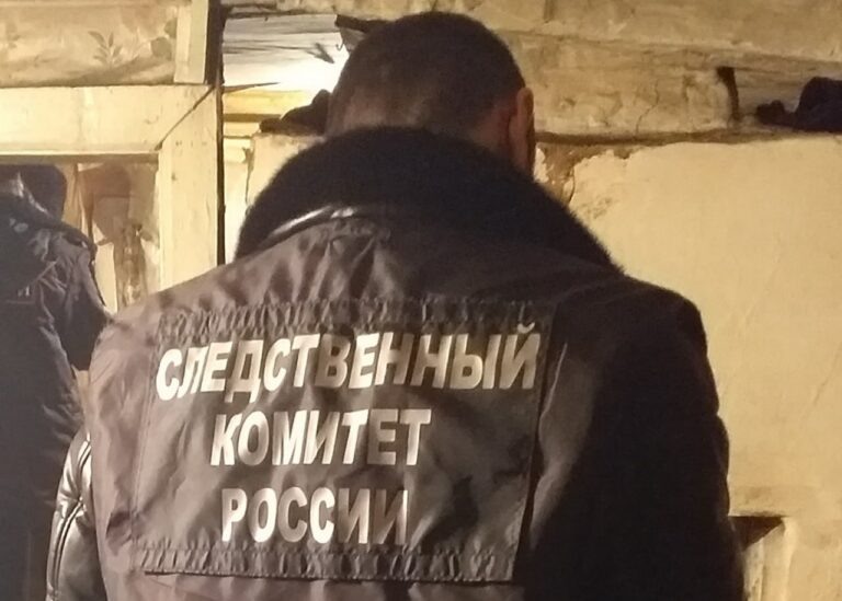    Наносил удары по голове. Изверг из Беляевского района до смерти забил своего знакомого Кристина Просвиркина