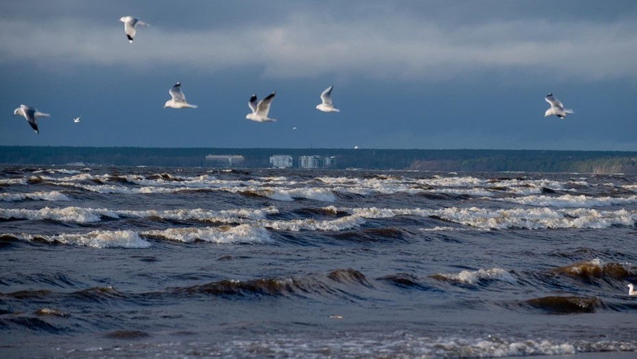    Автор фото: Ермохин Сергей