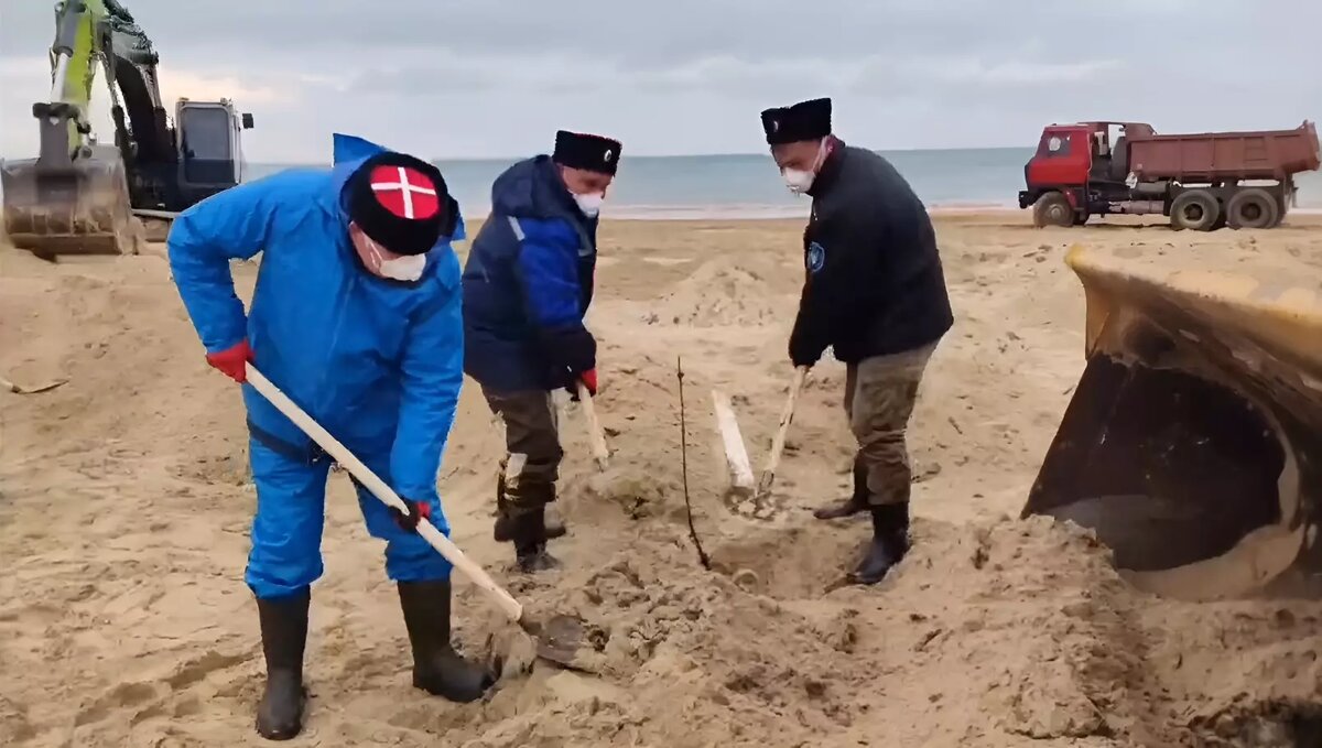     Автор: Оперштаб Кубани