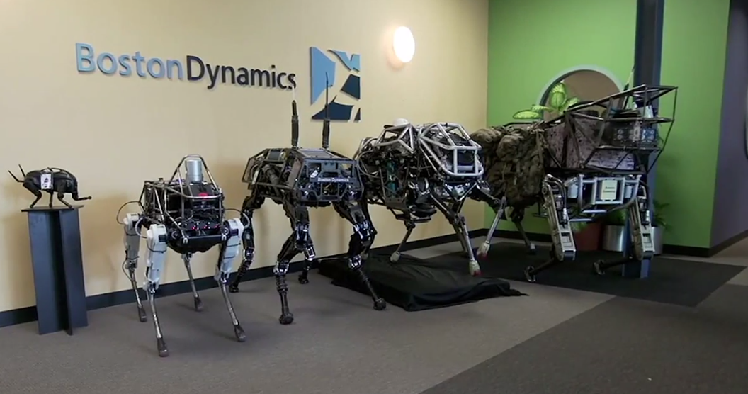 Фото из открытых источников