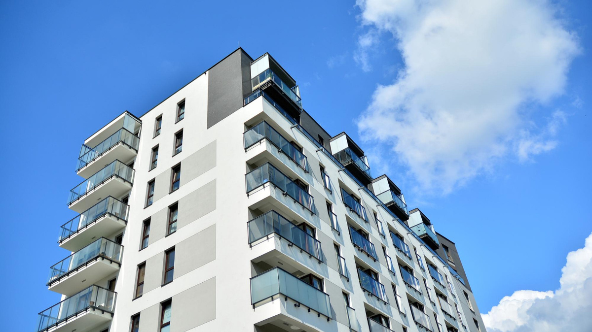 Фото: freepik.com  📷
