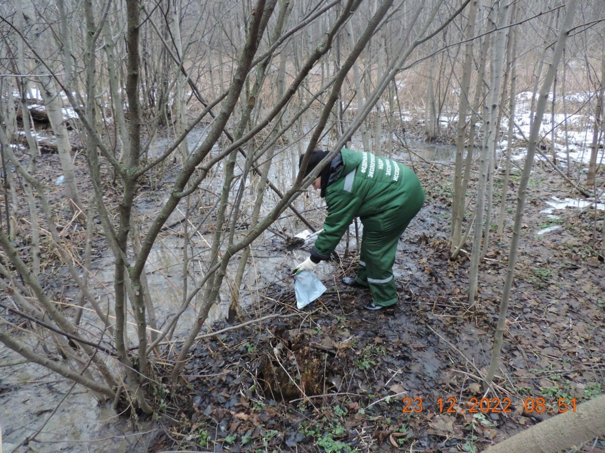    Управляющая компания расплатилась за слив канализационных стоков в воронежском микрорайоне Росприроднадзор по ЦЧР