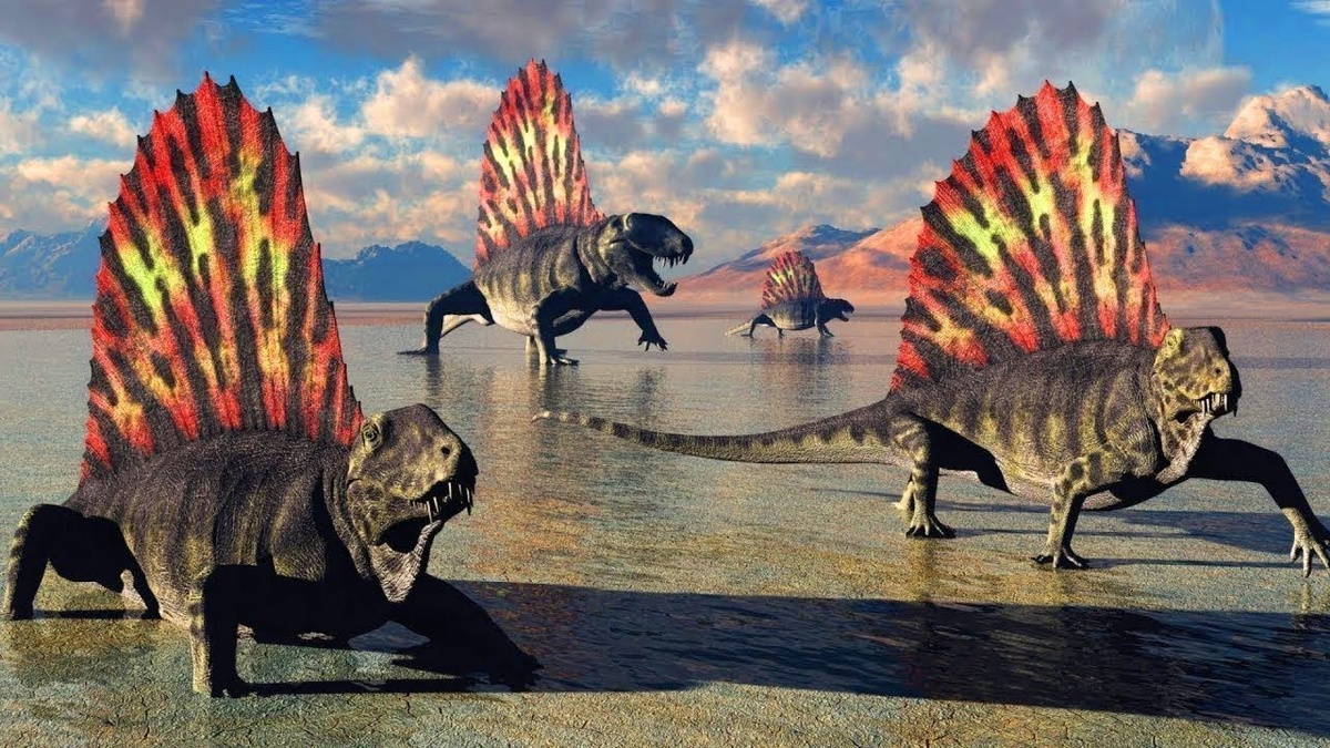 - Куда это они идут?                                           - Вымирать.