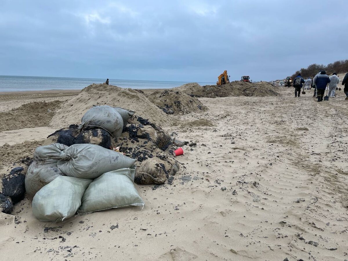 Фото: Утренний Юг